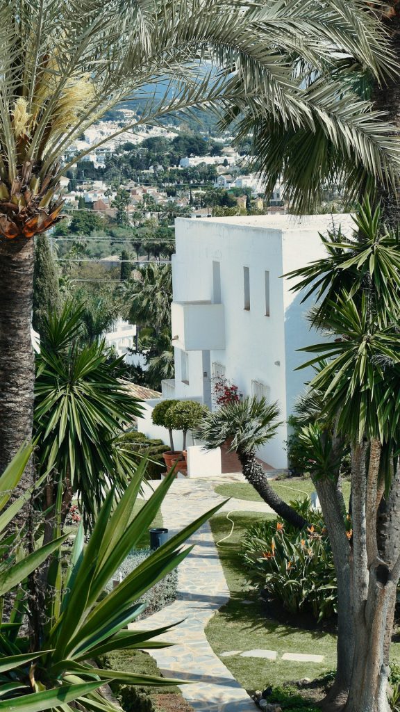 a-white-building-with-palm-trees-nrmcyshvzwu